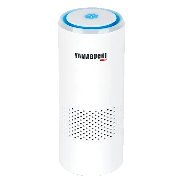 Ремонт Oxygen Mini